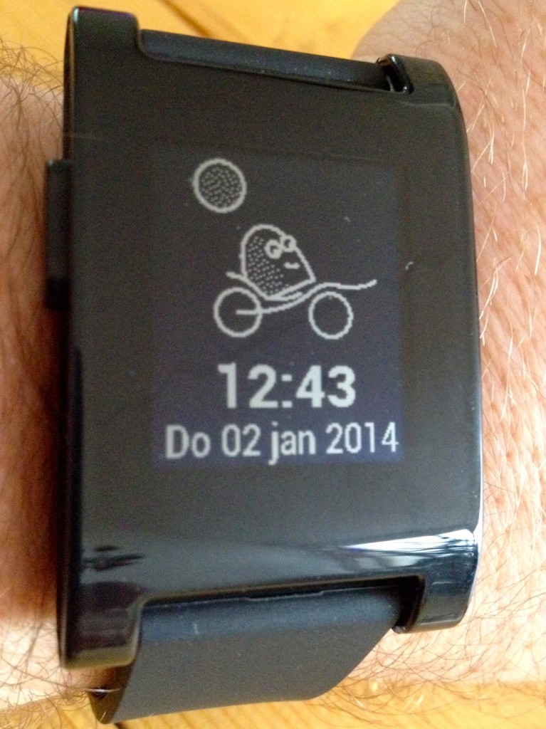 bijnanooit op pebble